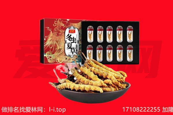 邯郸邯山区回收虫草.jpg